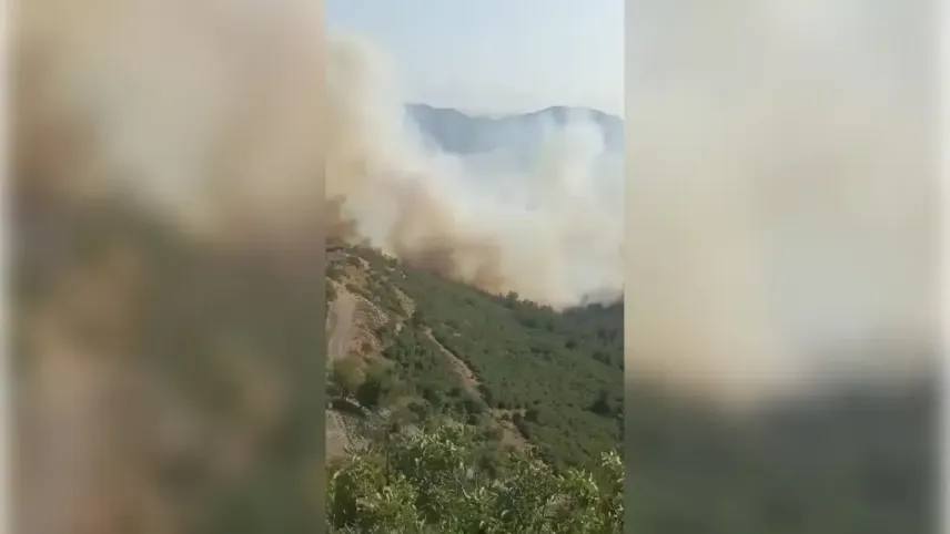 Bursa-Balıkesir sınırında orman yangını haberinin görseli