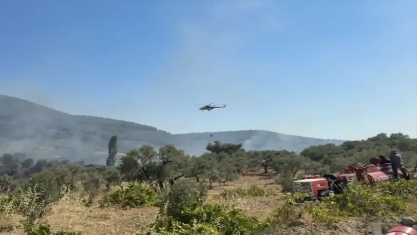 İzmir Kemalpaşa’da ziraat yangını: Zeytin ağaçları zarar gördü haberinin görseli