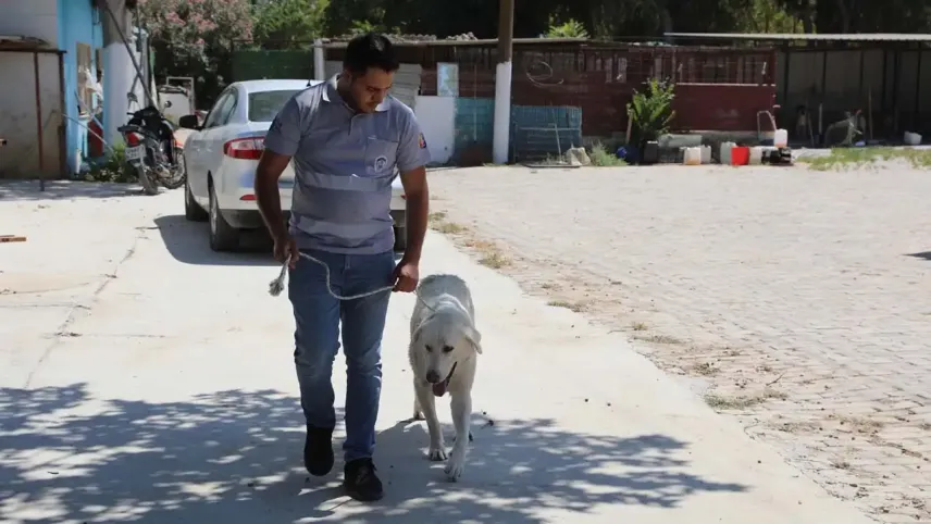 Efes Selçuk Belediyesi’nden duyarlı çağrı: Satın alma sahiplen haberinin görseli