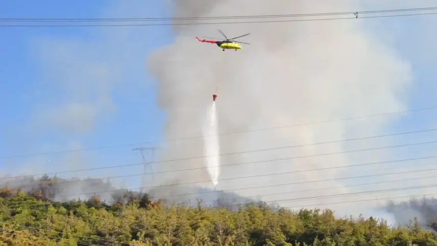 Manisa'da orman yangını: Alevler sanayi bölgesine yaklaştı haberinin görseli