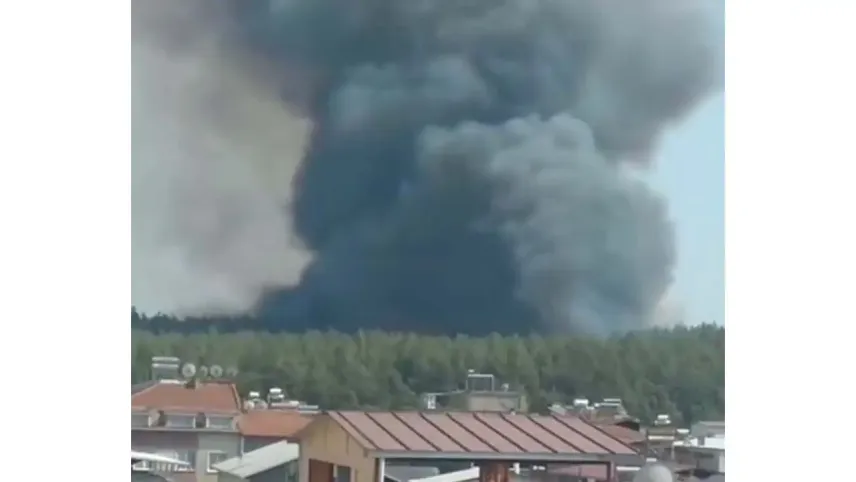İzmir Gaziemir'de orman yangını: Alevlere havadan ve karadan müdahale haberinin görseli
