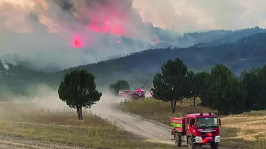 Tabiplerden orman yangını açıklaması: Üzülmeye devam edeceğiz haberinin görseli