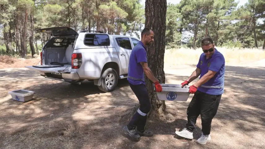 Buca Belediyesi’nden can dostları için hayati hamle haberinin görseli