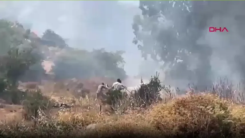 Bodrum’da otluk alanda yangın: Müdahale havadan ve karadan sürüyor haberinin görseli