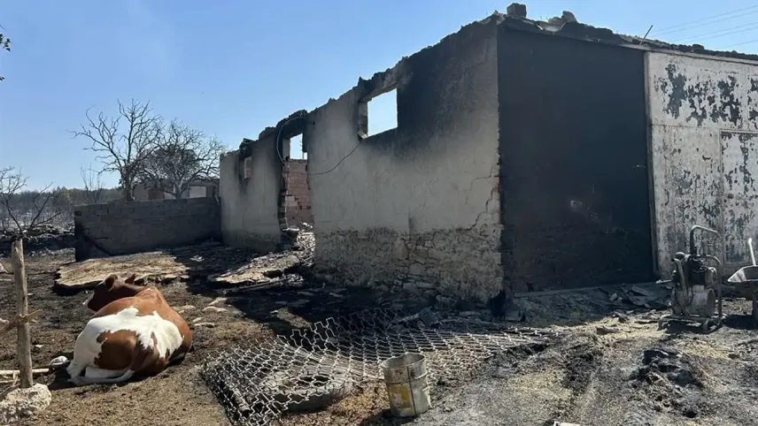Uşak’ın Sivaslı ilçesinde çıkan yangınlar kontrol altına alındı haberinin görseli