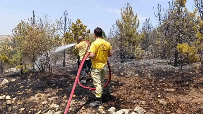 Amasya’da orman yangını: 3 hektar alan zarar gördü haberinin görseli