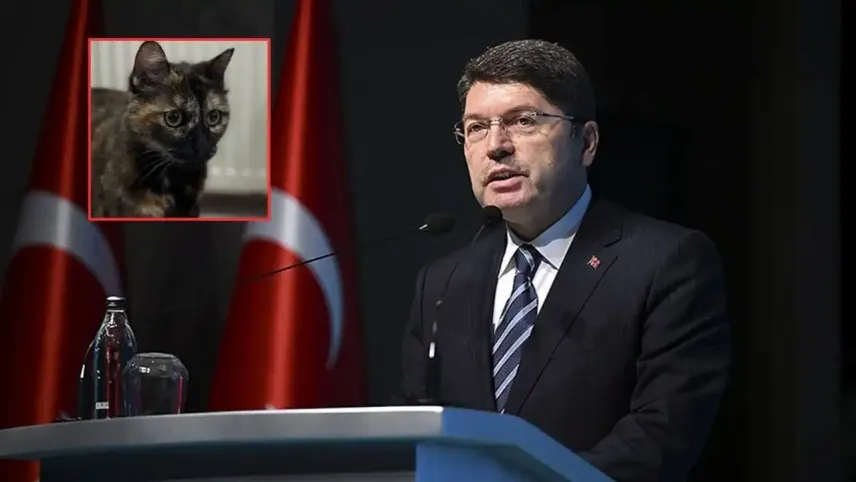 Bakan Tunç: Başakşehir’de kediye şiddet soruşturması başlatıldı haberinin görseli