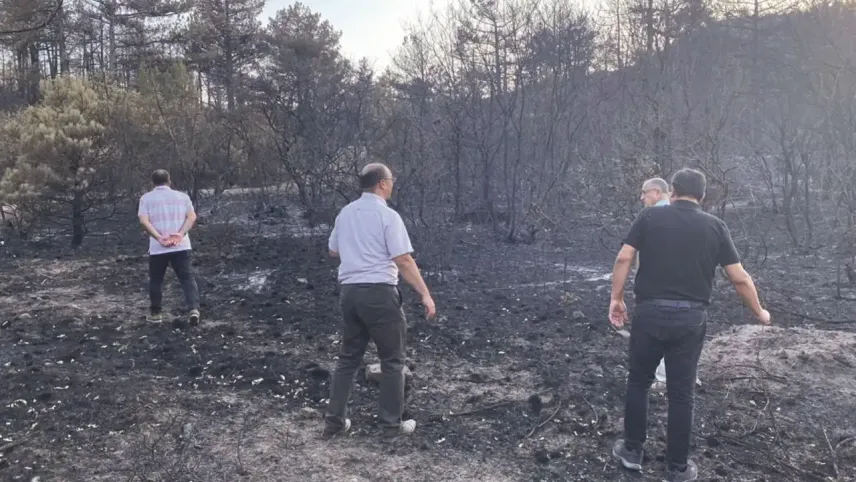 Türk Tabipleri Birliği heyetinden Eskişehir’de orman yangını incelemesi haberinin görseli