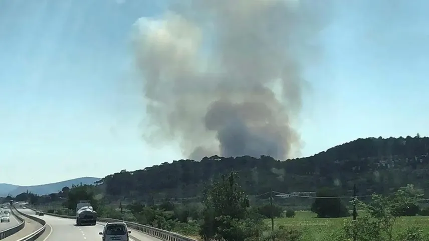 İzmir Bergama&#039;da yangın! haberinin görseli