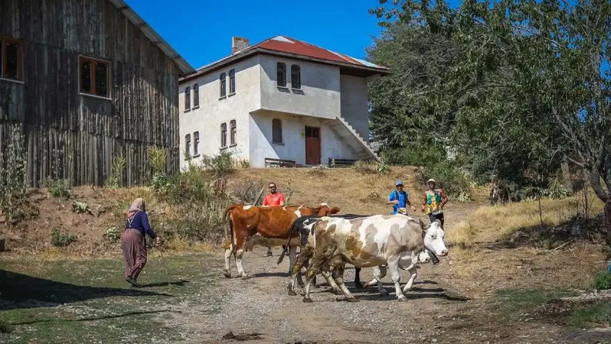 Ultra Abant 2025: 9 Ülkeden 790 Koşucu Bolu’da Patika Koşusunda Buluştu haberinin görseli